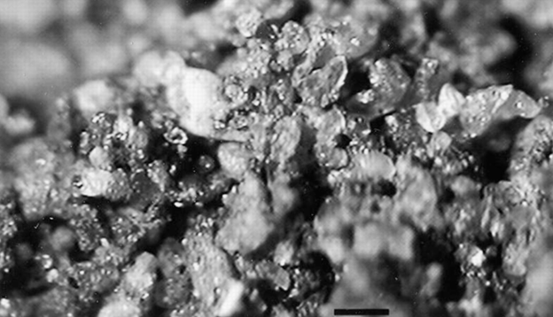 Figure 2.3. Sand grains in a glacial till soil near Valley City, ND. (Hopkins & Franzen,2003)